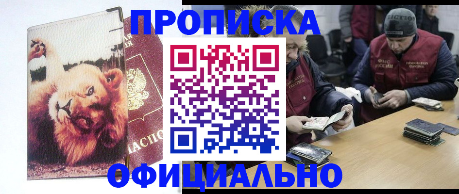 прописка в квартире в Курчалом